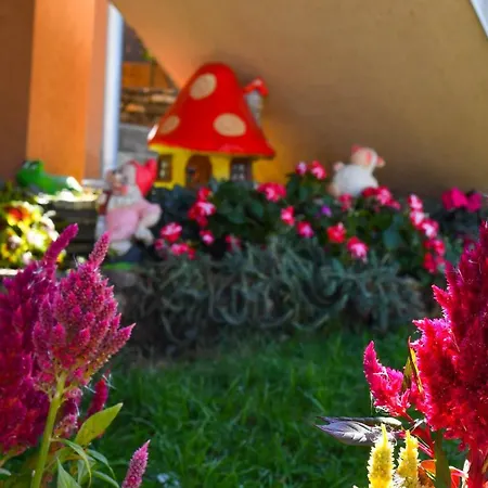 Nana Tekija Apartman