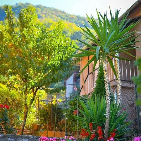 Apartment Nana Tekija *