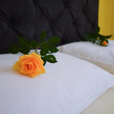 Nana Tekija Tekija (Bor)