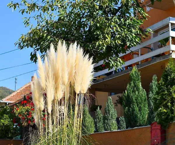 Διαμέρισμα Nana Tekija *