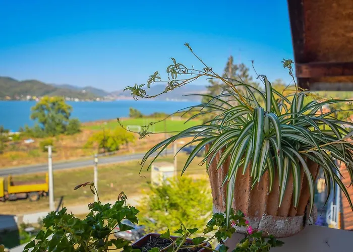 Nana Tekija Διαμέρισμα