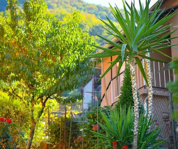 Apartman Nana Tekija *