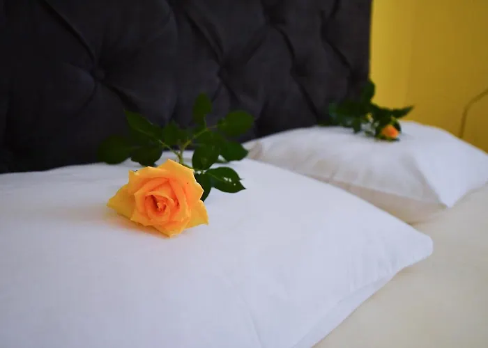 Nana Tekija Tekija (Bor)